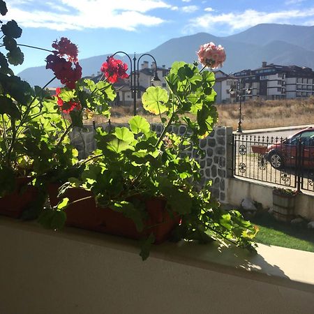 Skiing, Walking, Enjoying In Mountains Bansko Exterior photo
