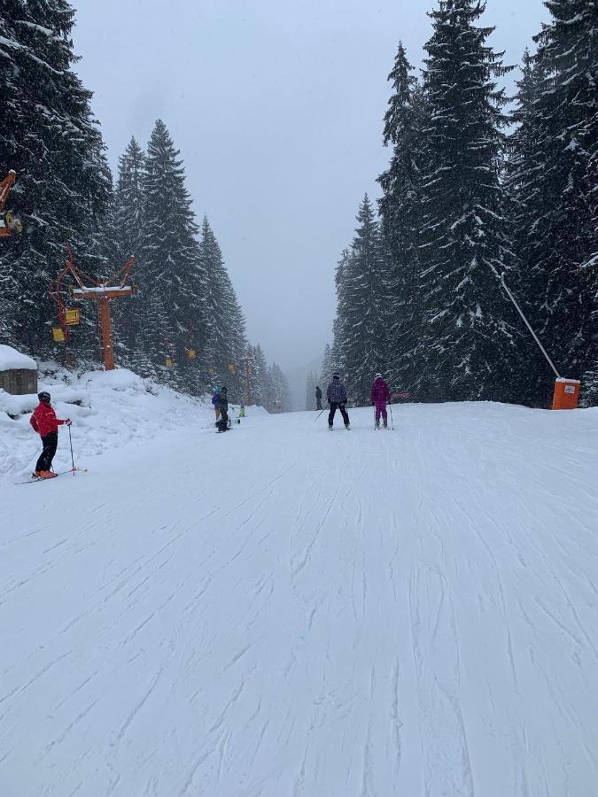 Skiing, Walking, Enjoying In Mountains Bansko Exterior photo