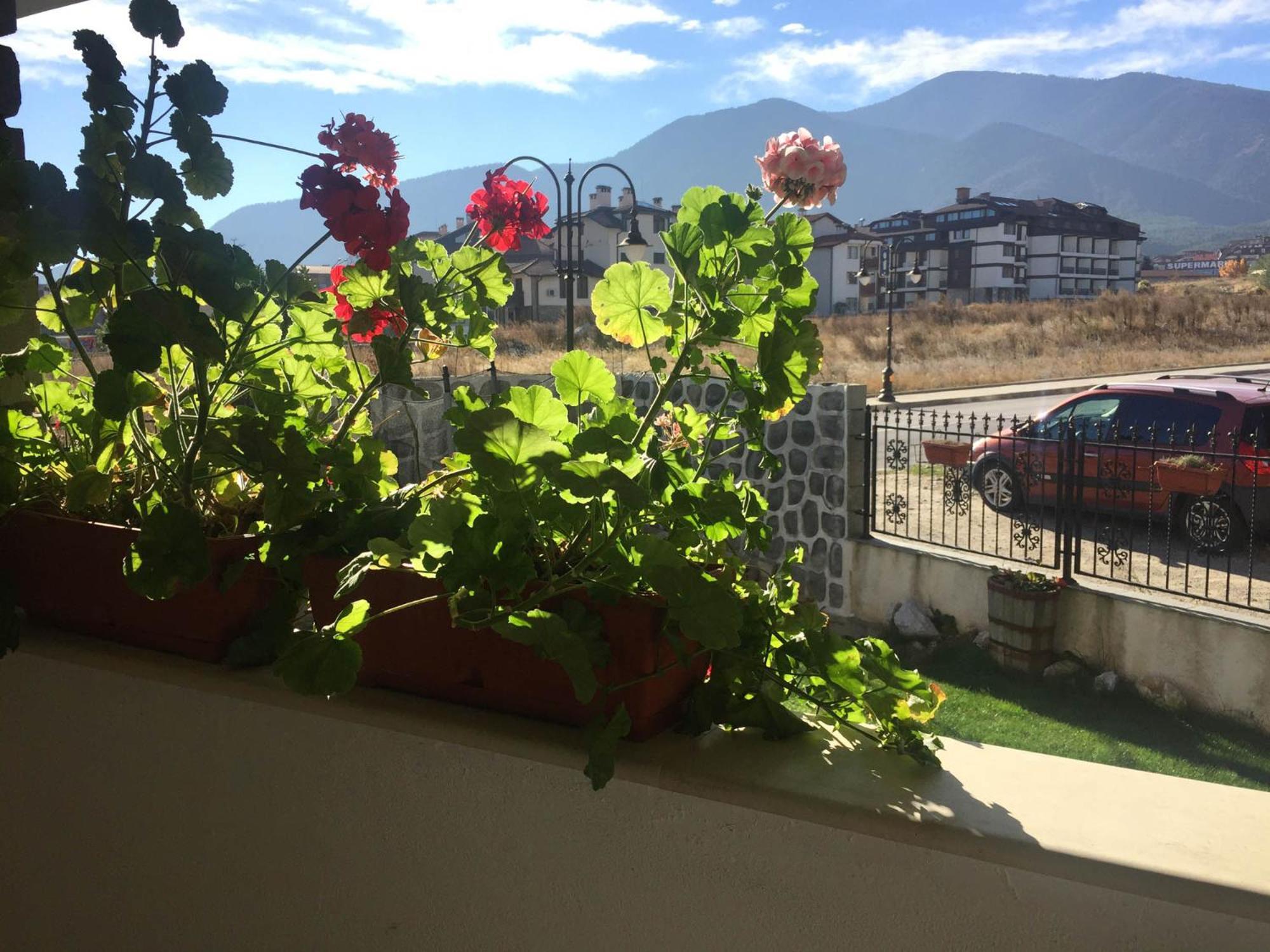 Skiing, Walking, Enjoying In Mountains Bansko Exterior photo