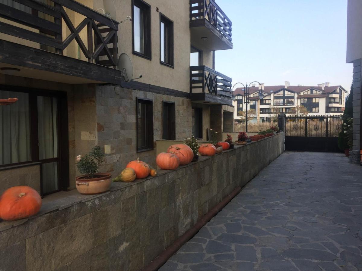Skiing, Walking, Enjoying In Mountains Bansko Exterior photo