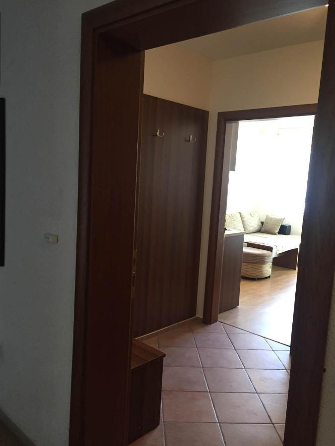 Skiing, Walking, Enjoying In Mountains Bansko Exterior photo