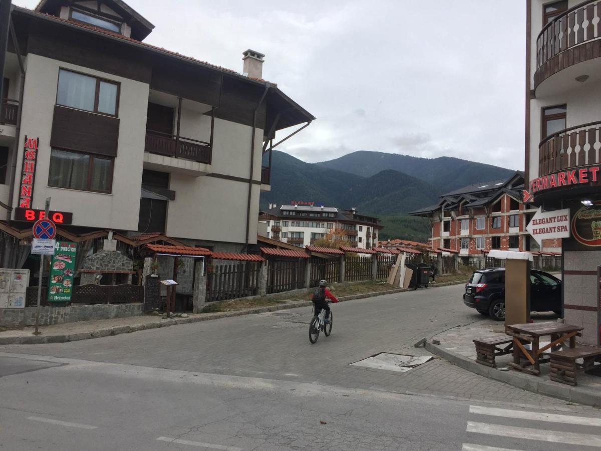 Skiing, Walking, Enjoying In Mountains Bansko Exterior photo