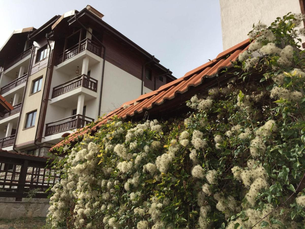 Skiing, Walking, Enjoying In Mountains Bansko Exterior photo