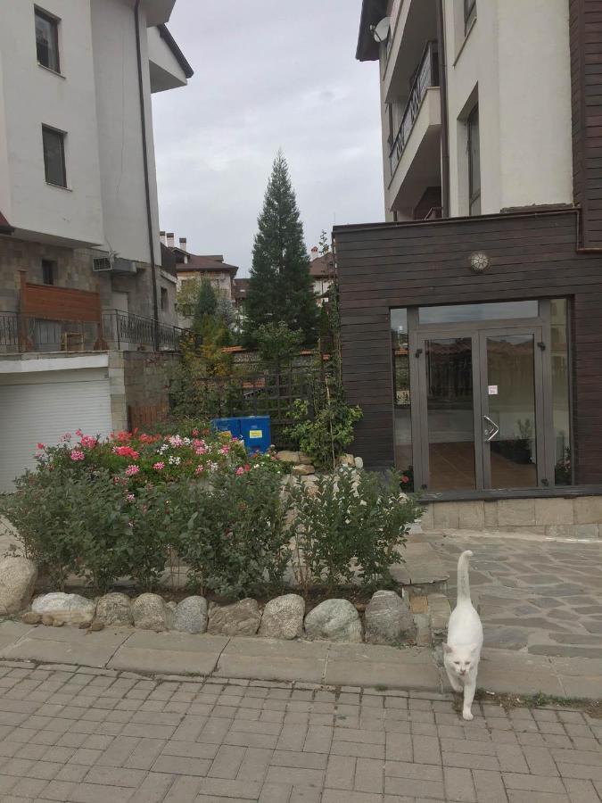 Skiing, Walking, Enjoying In Mountains Bansko Exterior photo