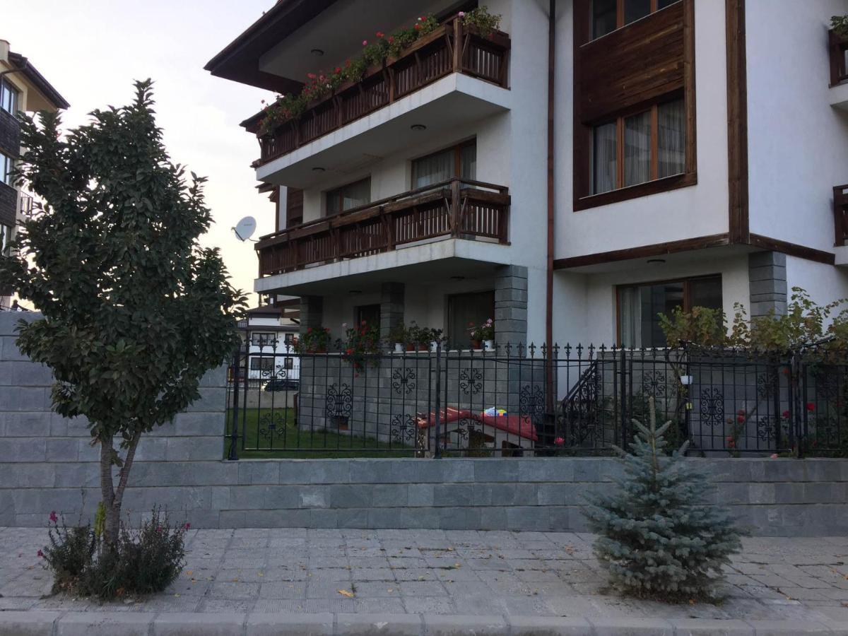 Skiing, Walking, Enjoying In Mountains Bansko Exterior photo